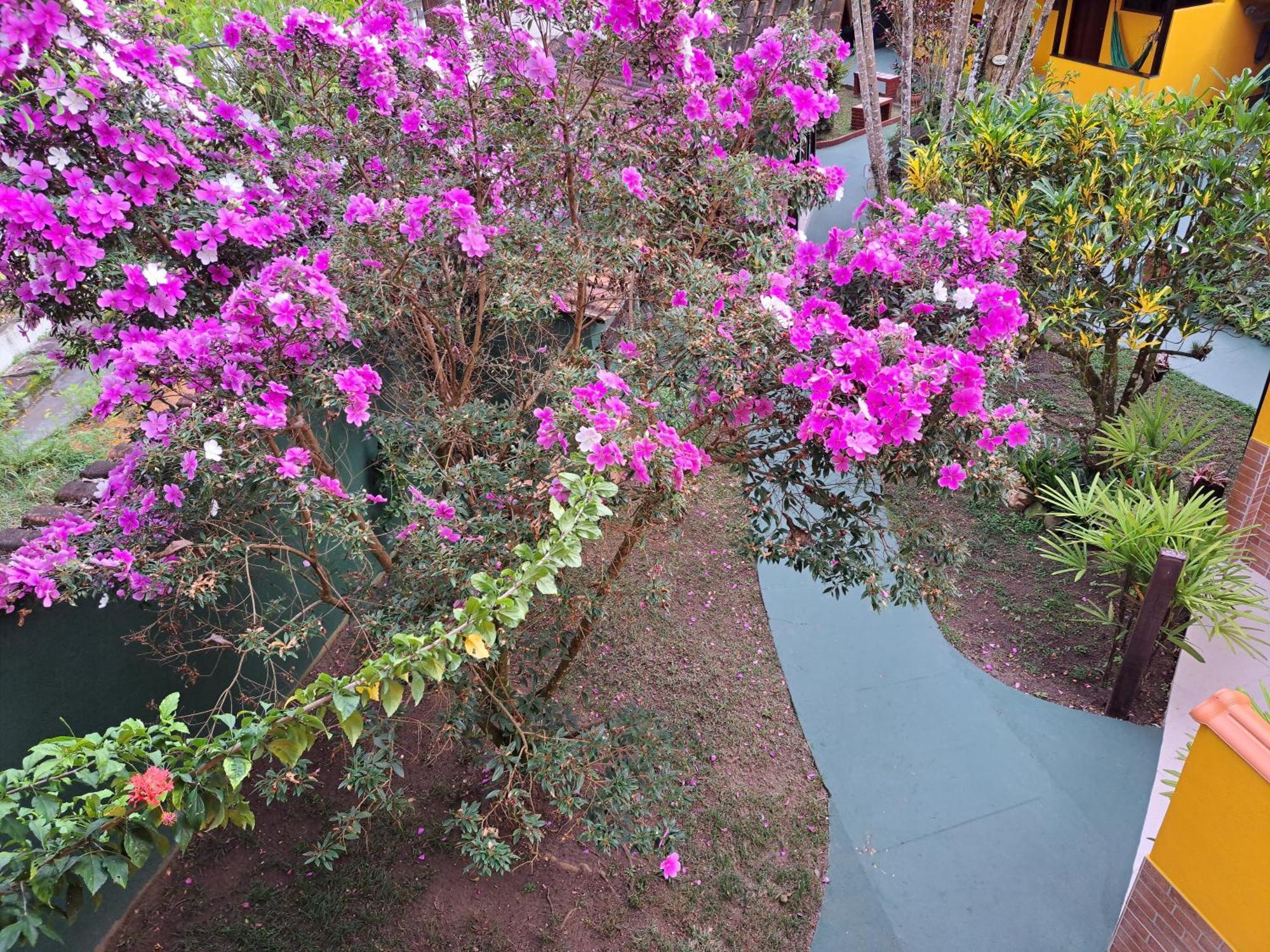Recanto Das Flores Lofts - Ilha Grande Rj Exterior photo